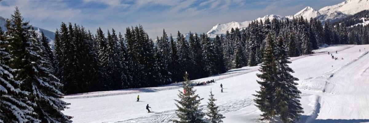 morzine holiday apartments bellevue 25 morzine france disclaimer
